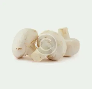 White Mushrooms