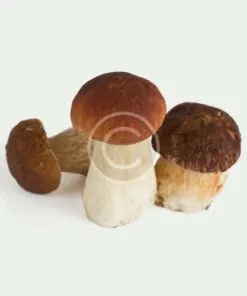 Cremini Mushrooms