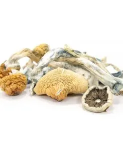 Blue meanie mushroom